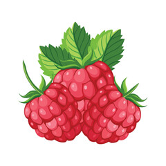 Raspberry vector illustration isolated on white background. Raspberry icon. 