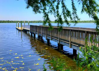 Wooden pier on the St. Johns River with a floating dock