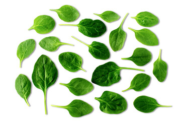 garden fresh green leafy vegetable spinach leaf also known in india as palak bhaji isolated,cutout...