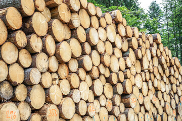 A big pile of logs.