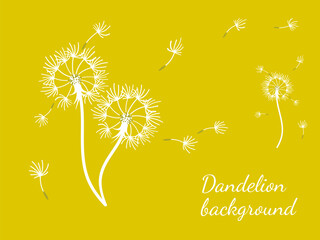 Dandelion_background6-46.eps