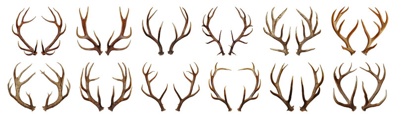 Assorted pairs of antlers isolated cut out png on transparent background