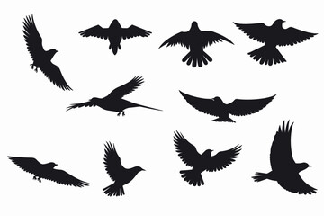 Vector Set Collection of Bird Silhouettes