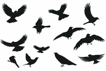 Vector Set Collection of Bird Silhouettes