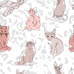 Cat pattern, food, tracks. Seamless illustrations of pets clipart for pet shops, as a blank for designer, logo, icon, pet food, textile