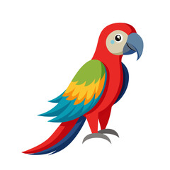 Tropical parrot bird cartoon style on white background