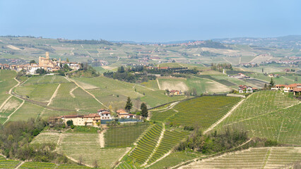 Amazing landscape of the vineyards of Langhe in Piemonte in Italy during spring time. The wine...