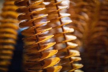 Close up, macro. Potato spirals on skewers. Barcelona market.