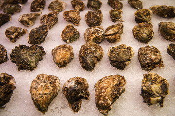 Close up. Spanish bazaar. Fresh oysters on ice.