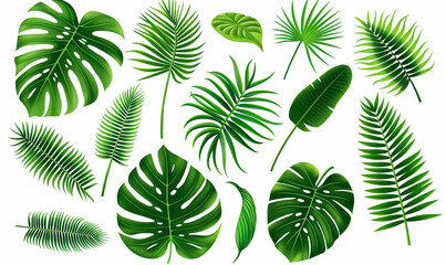 Tropical Leaves Assortment Isolated on White - Monstera, Palm, and Fern Varieties - obrazy, fototapety, plakaty