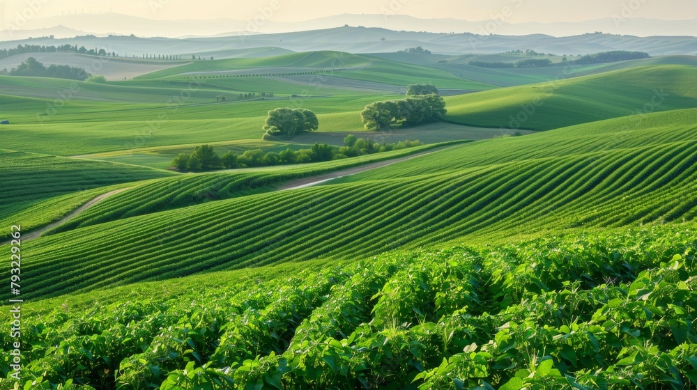 Poster a picturesque landscape of rolling hills covered in rows of soybean plants. in the foreground an irr