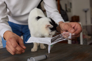 Veterinarian at vet clinic giving injection cat