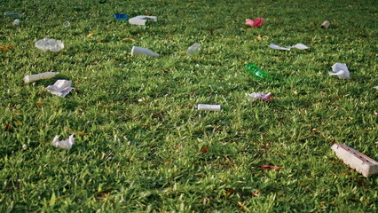 Litter contaminating park grass illustrating environmental negligence problem.
