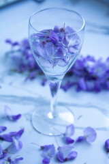 glasses with water and purple flower called lilac flowers