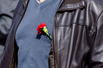 detail of a red carnation on a man's jacket celebrating April 25th in Portugal