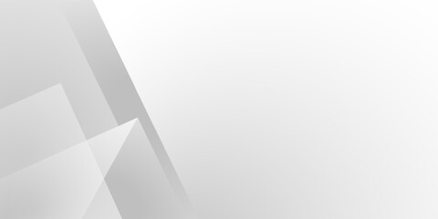 Abstract white and gray shape vector background. texture white pattern	