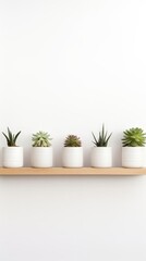 A row of potted succulents on a wooden shelf against a white wall, offering a modern and minimalist aesthetic ideal for urban gardening.