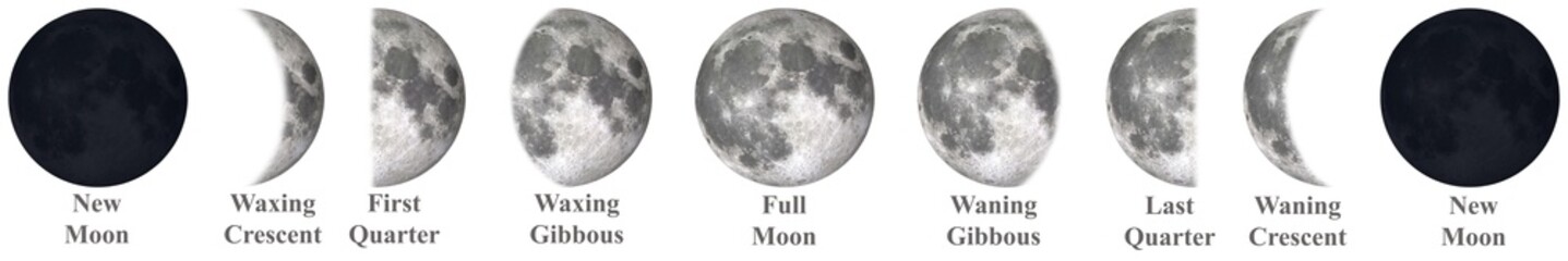 All phases of Moon Waning Crescent, Third Quarter, Waning Gibbous, Full Moon, Waxing Gibbous, First Quarter and Waxing Crescent, 
