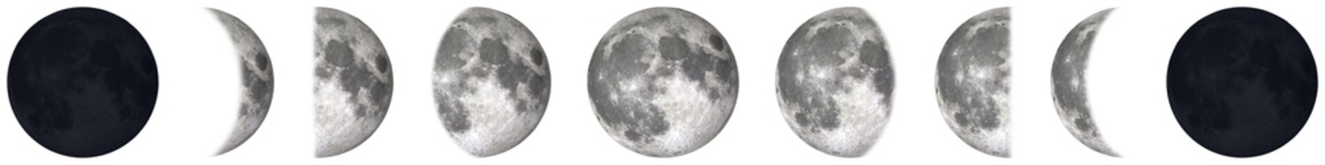 All phases of Moon Waning Crescent, Third Quarter, Waning Gibbous, Full Moon, Waxing Gibbous, First...