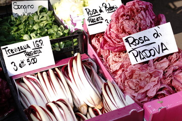 fresh vegetables on the market