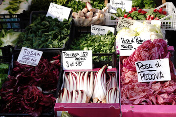 fresh vegetables on the market