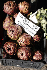 fresh vegetables on the market