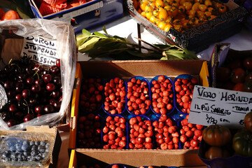 fresh vegetables on the market