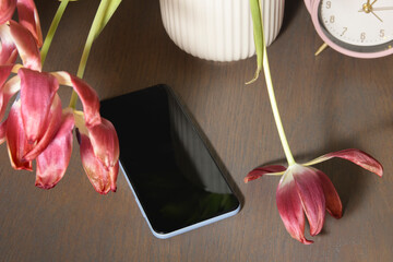 Withered red tulips, alarm clock and forgotten smartphone close-up in a white vase