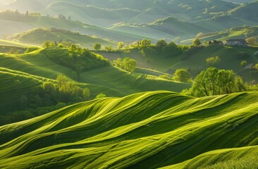   A lush green hillside, abundantly covered in grass