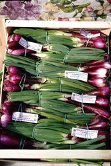 fresh vegetables on the market