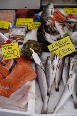 Fresh fish market hall