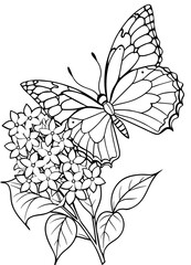 coloring page for children butterfly over flower