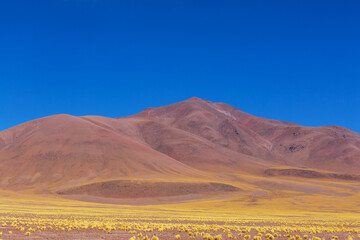 Northern Argentina