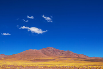 Northern Argentina