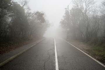 Nebelige leere Straße; Weg ins Unbekannte / Foggy empty road; Way into the unknown