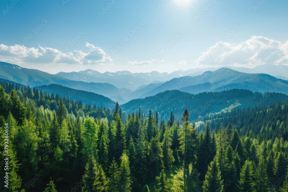 Poster scenic mountain range with trees in foreground. suitable for travel brochures