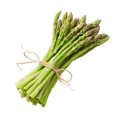 A collection of freshly picked tied bundles of fresh green asparagus isolated against a white background