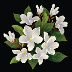 Jasmine Digital Art Flower Clip Art