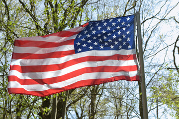 American flag flutters in a forested area against a background of green trees