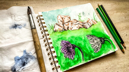 Bright botanical sketch in sketchbook using color pencils and watercolor. Drawing nature on paper. Aquarelle painting. Flowers and stones on green wash. Soft focus. film grain pixel texture. Defocused