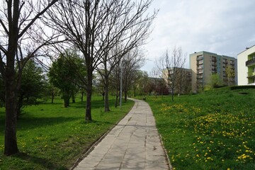 The view of the green areas with the sidewalk alley of the city park is beautifully illuminated by the sun at the beginning of spring. In the distance, apartment blocks made of large concrete slabs.