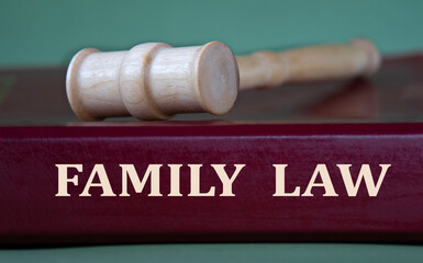 FAMILY LAW - words on a burgundy folder on the background of a judge's gavel