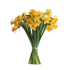 A stunning bouquet of daffodils stands out against a clean white studio backdrop isolated with a transparent background