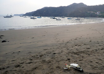 Costa Rica sea life