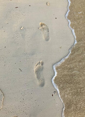 Footprints of a child's feet walking on the beach washed by the sea.Copy space. 