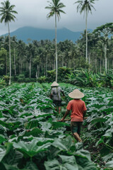 Couple of people walking through a vibrant green field on a sunny day. The lush grass is tall and swaying in the gentle breeze as they stroll through the picturesque landscape