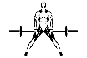 black vector image silhouette modern muscular body exercises, beauty, bodybuilding body line art. For use as a brochure template or for use in web design.