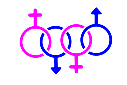 silhouette vector image of male and female gender symbol isolated on white transparent background.