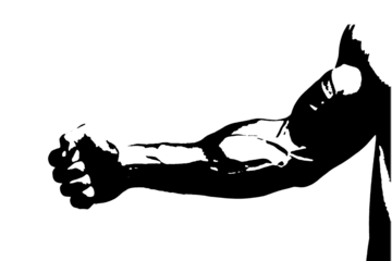 black vector image silhouette modern muscular body exercises, beauty, bodybuilding body line art. For use as a brochure template or for use in web design.