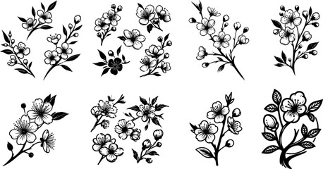 cherry blossom, nature plant floral vector black ornamental, floristic decoration illustration, silhouette svg, laser cutting cnc engraving - obrazy, fototapety, plakaty